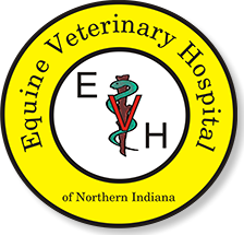 Equine Veterinary Hospital logo