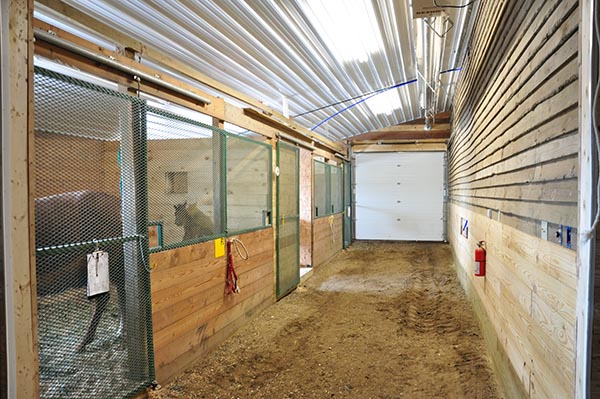 Reproductive Heated Foaling Stall